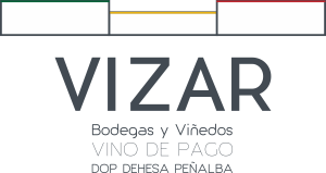Bodegas Vizar logo